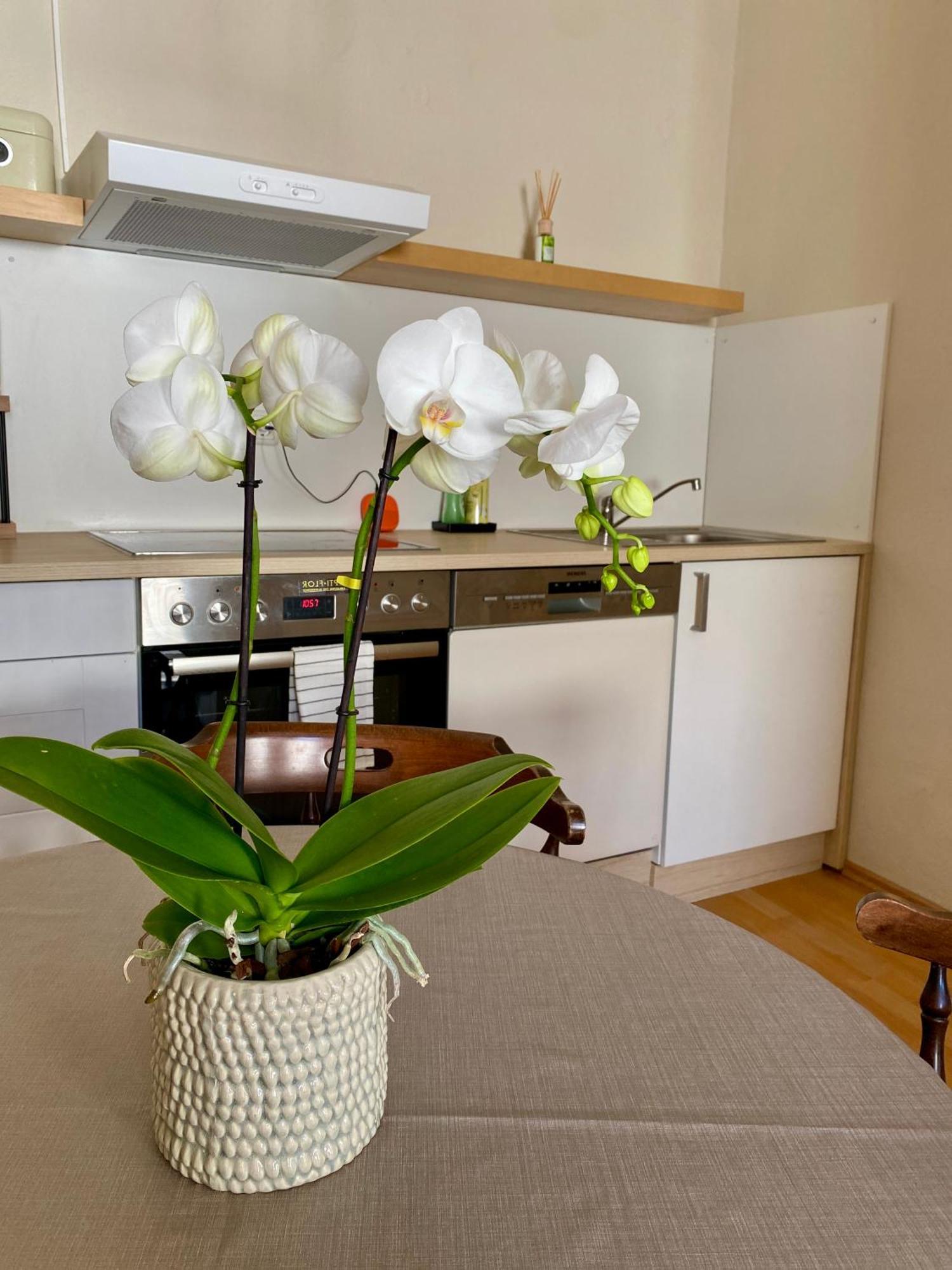 Ba Em Apartment *